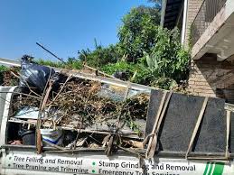 Best Shed Removal  in Suwanee, GA